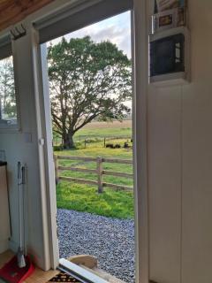 Wooly Huts Green - Westport - 6