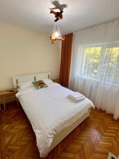 Apartament Aerodrom Barza - Târgu Jiu - 8