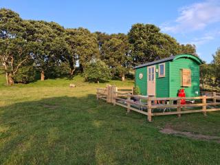 Wooly Huts Green - Westport - 7