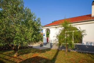Apartments in Silo/Insel Krk 13443 - Šilo - 3
