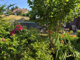 Ferienwohnung Odenwald Fernblick - Brombachtal - 0