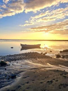L'échappée Tropicale -- L'Echappée ZEN -- SPA, ambiance zen et confort, à 5min de la plage - 5