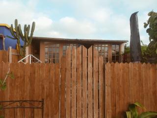 Birds House - Casablanca - 1