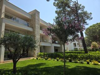 Blue Harmony - Lalzit Bay - 5