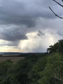 FeWo Am kleinen Königsstuhl - Sagard - 5