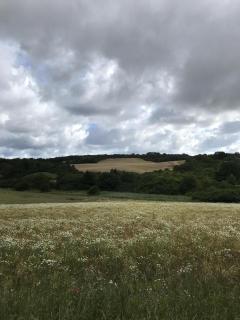 FeWo Am kleinen Königsstuhl - Sagard - 4