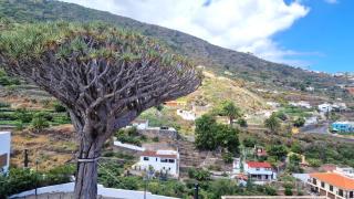 Cozy Izan Drago Apartment in Icod de los Vinos by HRTenerife Net - Icod de los Vinos - 9