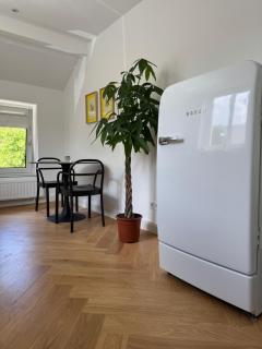 Charming Stadtvilla from 1895 Classic en Elegant - Kleve - 9