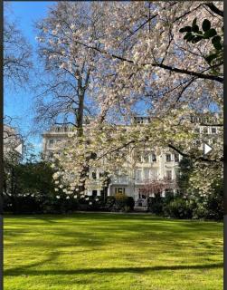 Stunning flat - South Kensington - Londra - 1