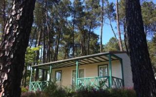 Chalet 4 étoiles - Piscine - eeecic - 3