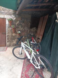 Domus Maria - 8
