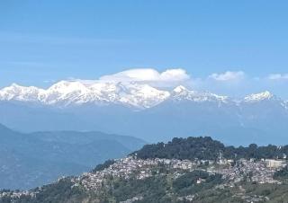 Springfield Stays Homestay and Restaurant - Darjeeling - 2