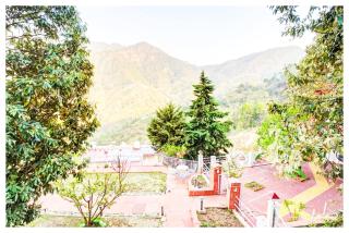 Boost Go Resort Peach-wood Nainital - Rāmgarh - 4