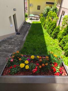 Sunshine apartment near the zoo, free parking - Sarajevo - 6