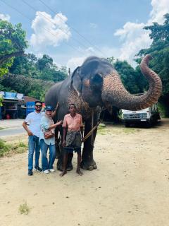 Antique lanka tours - 0