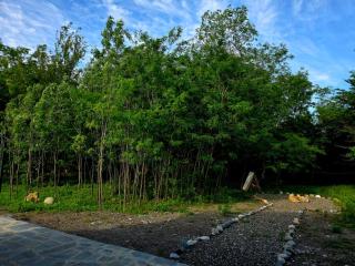 Twin Cottages - Kutaisi - 7