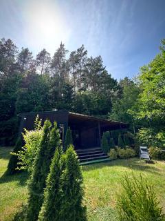 Sarzynówka pod Sosną - 2