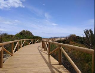 Apartamento La Pinada - Guardamar del Segura - 8