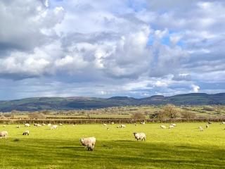 Beautiful cottage in rural Wales near coast - Cribyn - 6