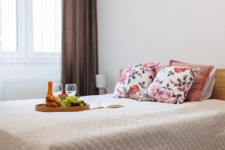 Malila Premium Apartments Cracow Łaszkiewicza 8 - Krakau - 4