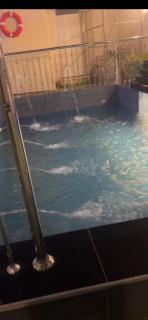 Luxray Night House - 6