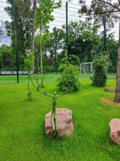Mayak Resort - 4