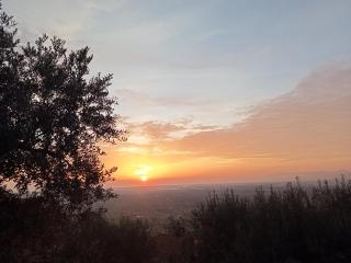Monte Oliveto - Altavilla Silentina - 1