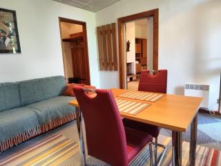 Garden Apartment - Brno - 7