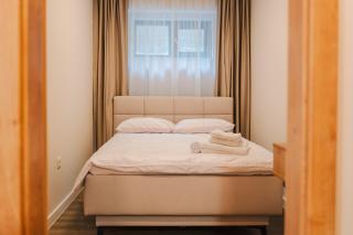 Cometei Residence Apartments 2 - Cluj-Napoca - 7