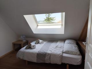 Charmante maison avec jardin au coeur du vignoble Savoyard - Jongieux - 5