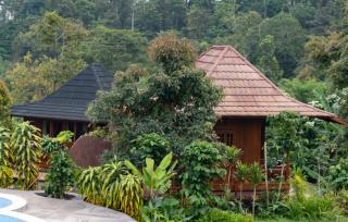 Manigelang Villa - Munduk - 8