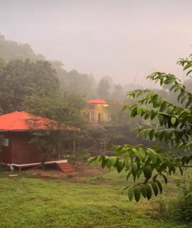 Leafyden Forest Cottages - - 7