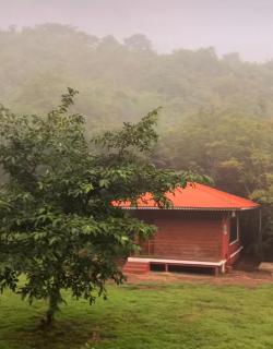 Leafyden Forest Cottages - - 6