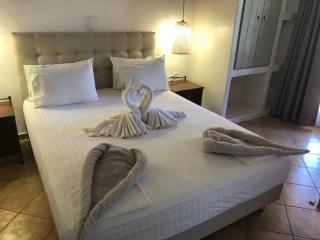 Acti Plaka Hotel - Plaka - 9