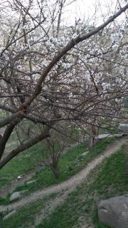 Bekmurod Guest House - 9