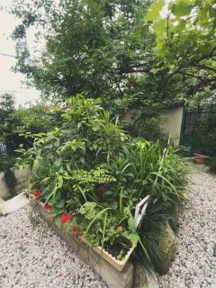 PETREIBERY Garden - Kutaisi - 4