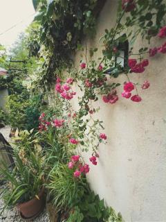 PETREIBERY Garden - Kutaisi - 6