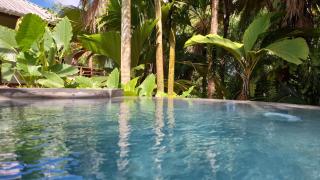 A Peace In Paradise - 0