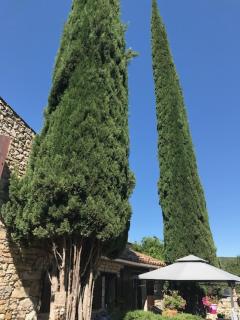Chambre sous les cyprès - Limans - 7