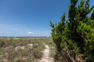 Sound Pleasures - Edisto Island - 7