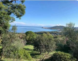 Azulik Corsica - Corbara - 8
