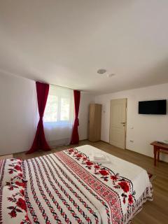 Vila Rodica - Lunca Mare - 6