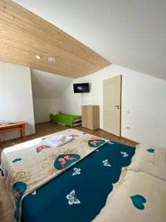 Vila Rodica - Lunca Mare - 5