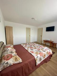 Vila Rodica - Lunca Mare - 4