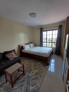 Stadeview Bnb - Nairobi - 7