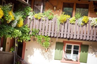 Weingut Alfred Huber - Durbach - 7