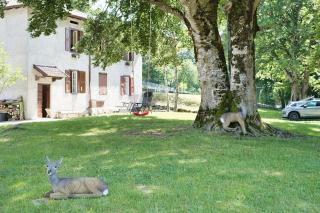 Casa nel parco - Piano dei Resinelli - 0