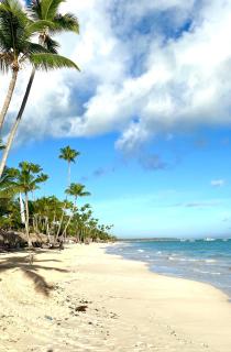 Luxury Villa Pool and BBQ in San Juan Lakes Los Colales RD - Punta Cana - 7