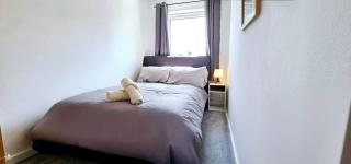 Central Apartment In Belfast City Centre - Belfast - 5