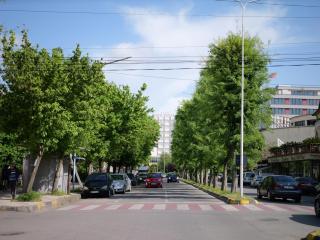 Fisi Heritage Home&Apartaments - Shkodër - 0